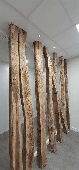 PAN DE BOIS CONSERVE  - SERVICE DES FINANCES DE LA VILLE D'AUCH.