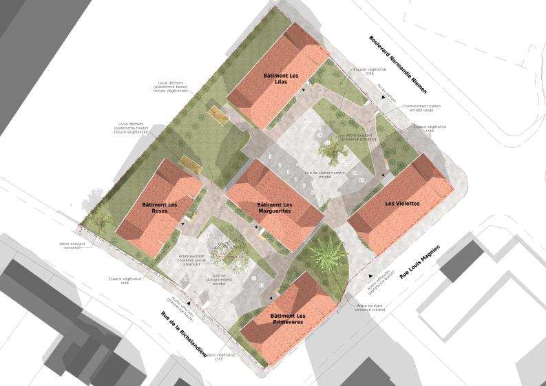 plan-masse_projet.jpg