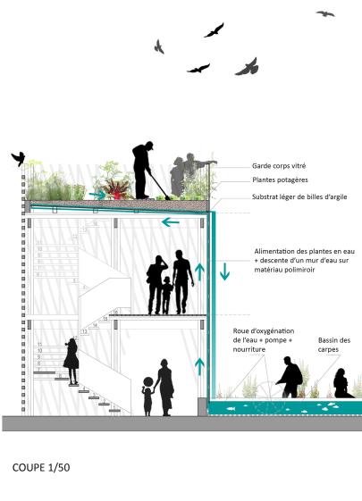 atelier_alt_r_architecture_climaxcoupe.jpg