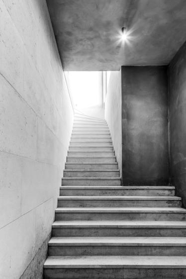 santaduc2_light-107.jpg