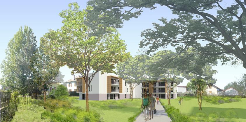 Vue d'ensemble des logements collectifs