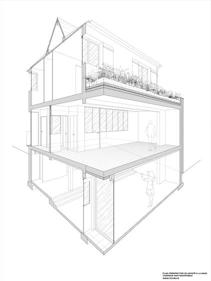 Coupe Perspective d'angle 