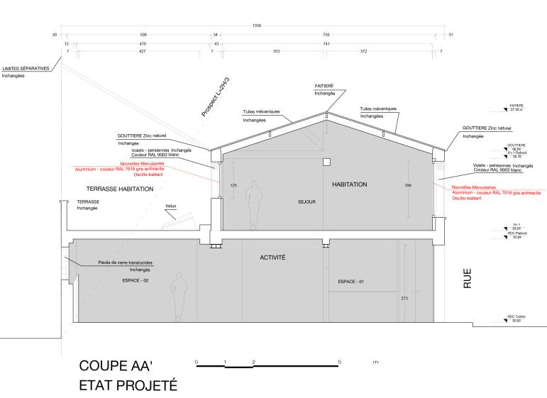 Coupe longitudinale