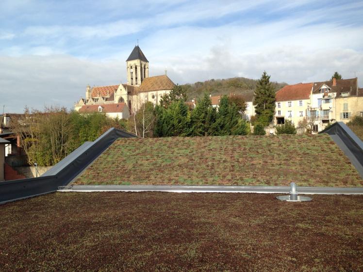 toiture_vegetalisee.jpg