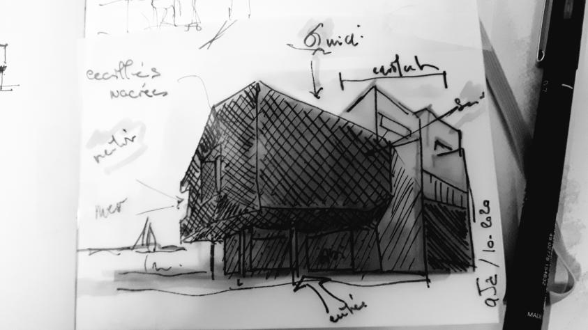 20201003_184123.jpg