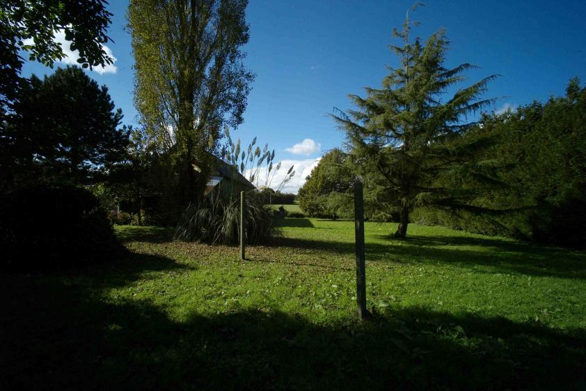 l9992108.jpg