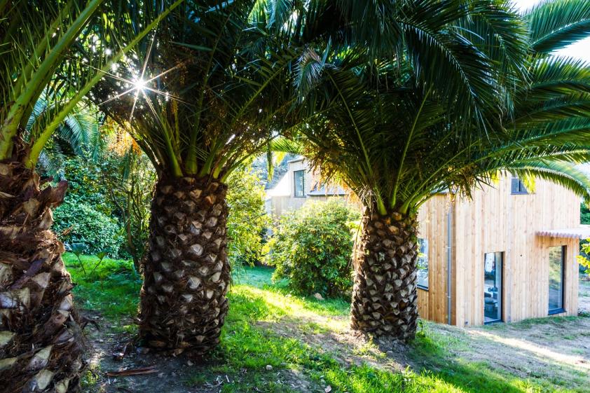 josefa_pricoupenko_-_architecte_-_loeil_de_paco_5.jpg