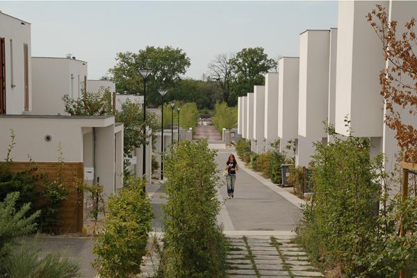 stj1_600x400.jpg