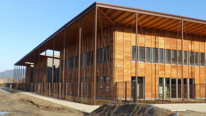 La toiture aménagée pour l'arbre dans le patio 