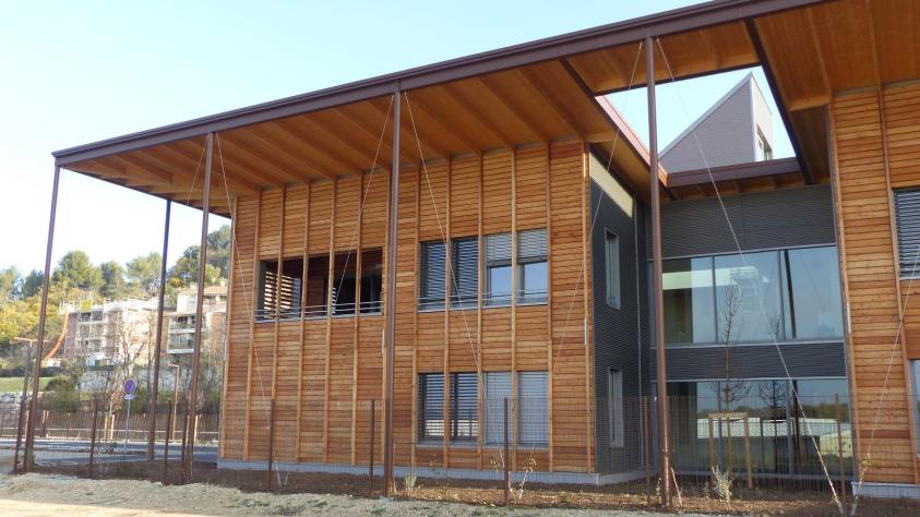 La toiture aménagée pour l'arbre dans le patio d'entrée