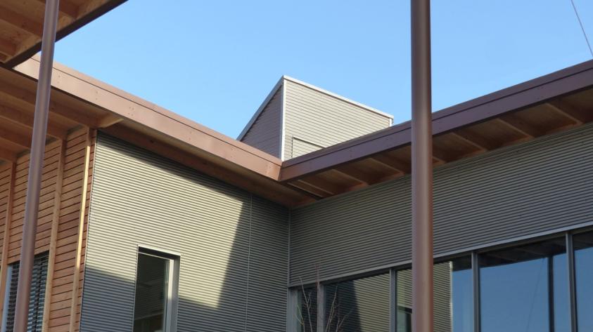 La toiture aménagée pour l'arbre dans le patio d'entrée