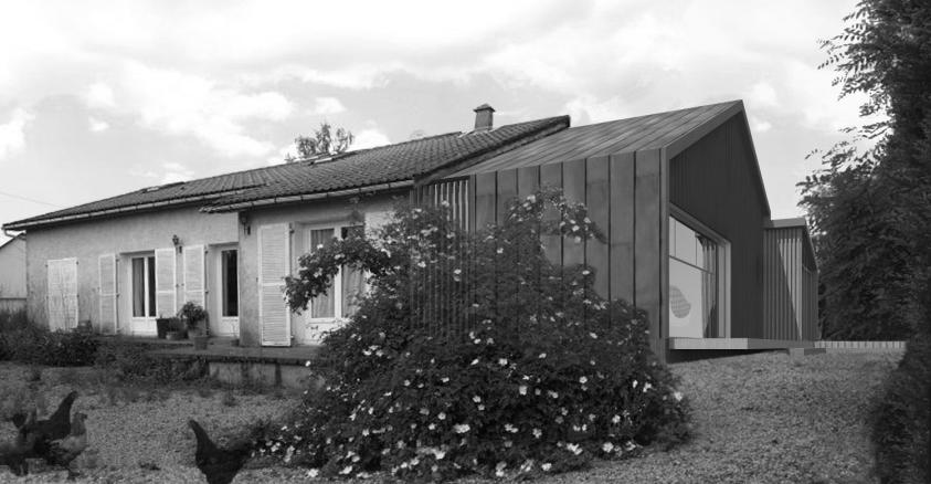 Extension maison de ville - bois et zinc