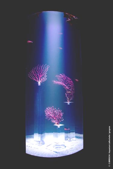 aqua_photographie2_-_modif.jpg