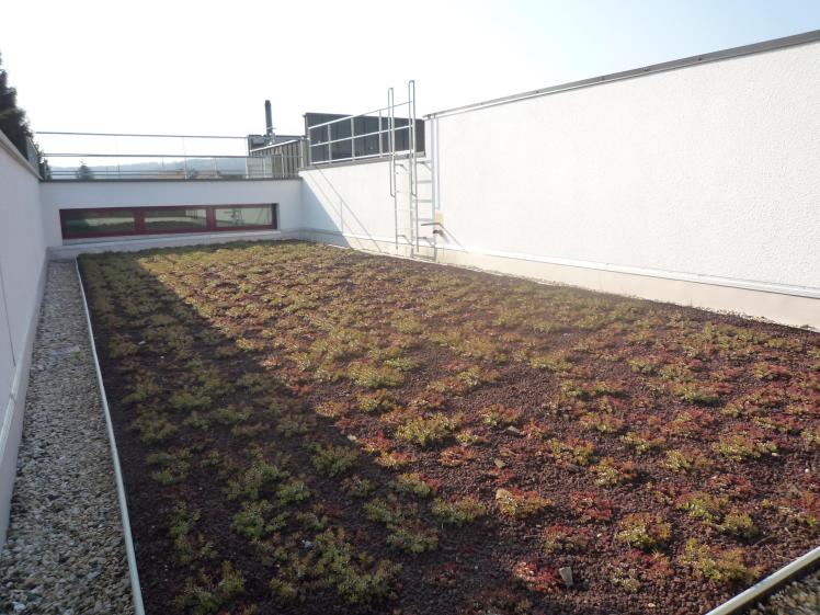 grauves_fr_p1010950.jpg