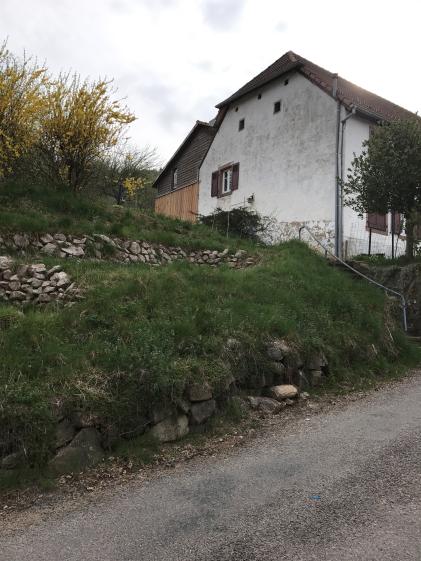 waldersbach_23.jpg
