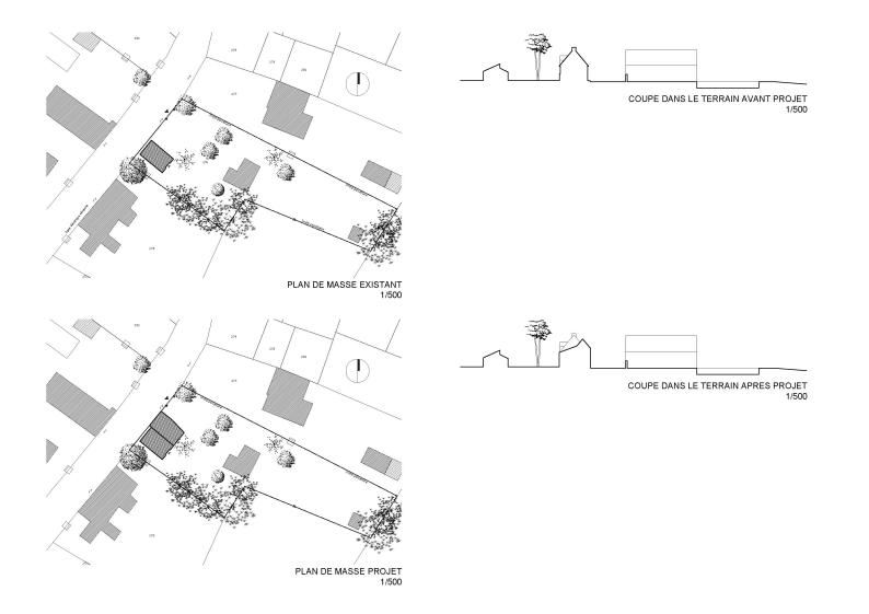 plans_2_-_site_plan_site_section.jpg