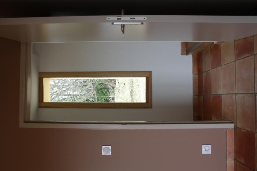 20130419_5511.jpg