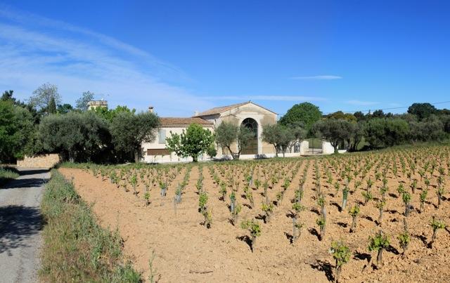 soreau_6.jpg