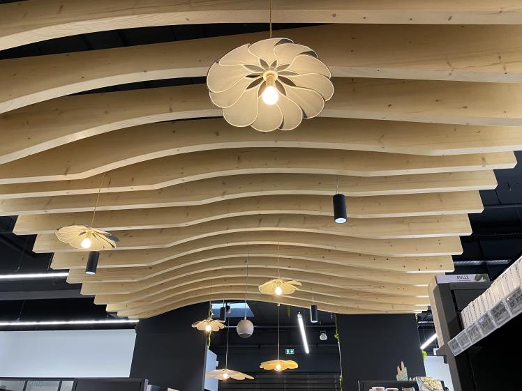 Le plafond de l'espace Phytothérapie
