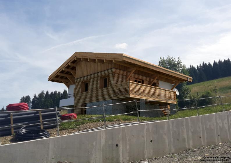 1-chalet_les_gets_lery_insertion.jpg