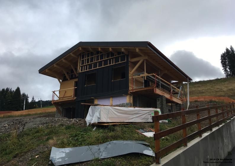 2-chalet_les_gets_lery_chantier_01.jpg