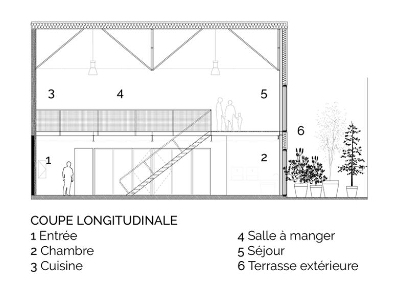 Coupe longitudinale