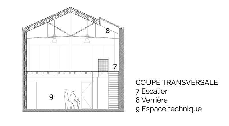 Coupe transversale