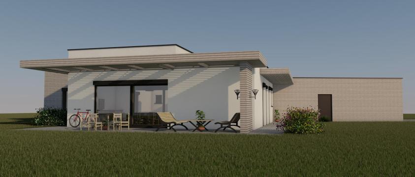 LesAsphodeles-Projet