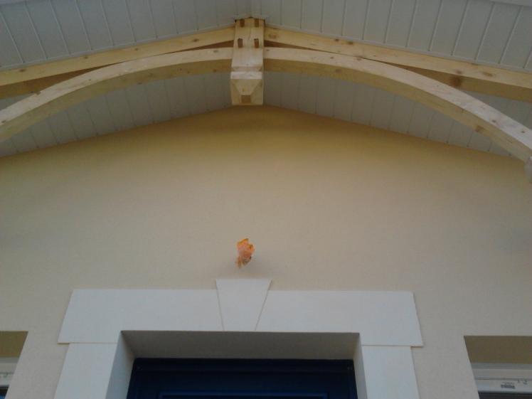 2013-06-15_19.57.24.jpg
