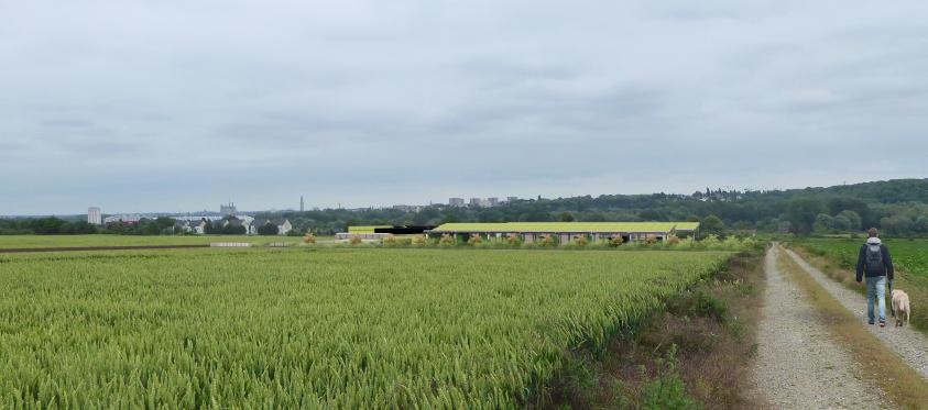 Perception du site depuis le chemin agricole
