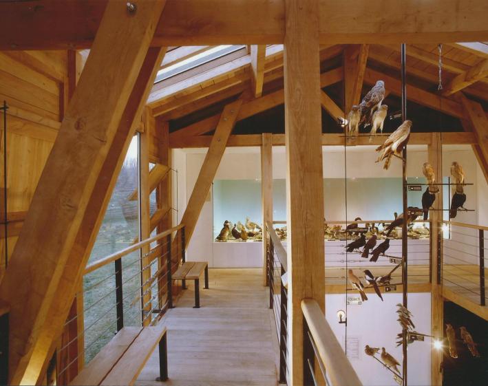 Vue intérieure oiseaux des mers
