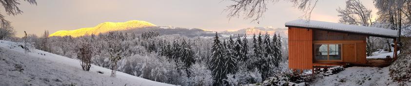 20201205_164941.jpg