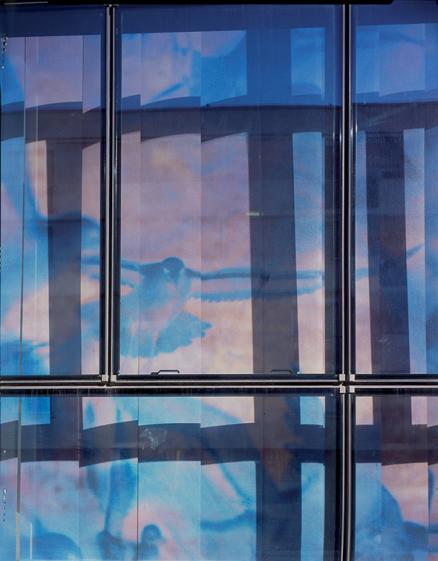 Photographie Stéphanie Matthys