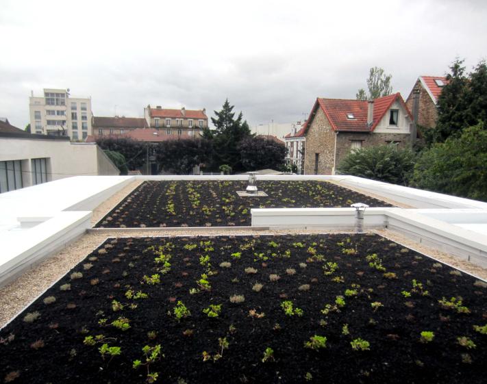 Toiture terrasse végétalisée