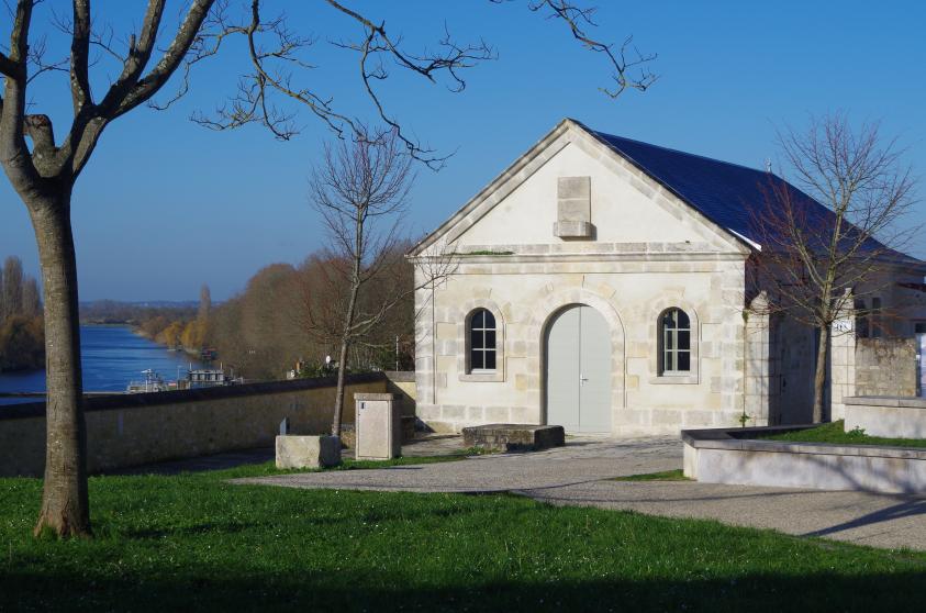 imgp0335.jpg
