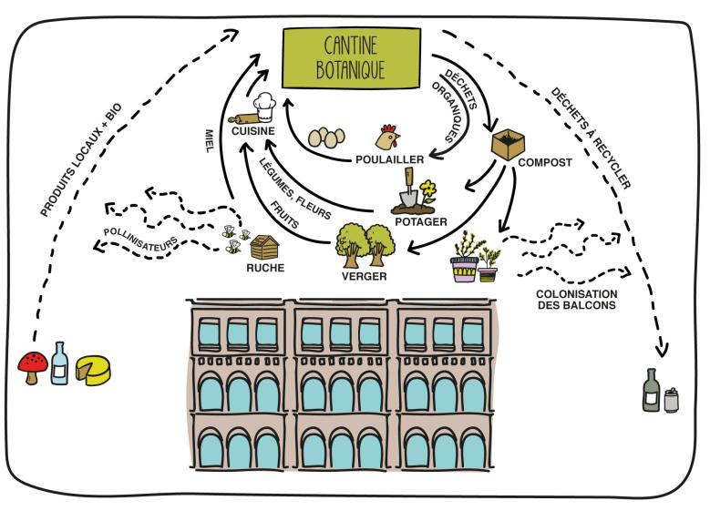 botanic_schema_ecosysteme.jpg