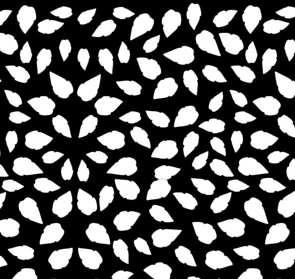 abstract_erea_modif_b_1.jpg