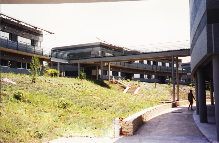 cirad_ext_3_-_modifiee_bis_1.jpg