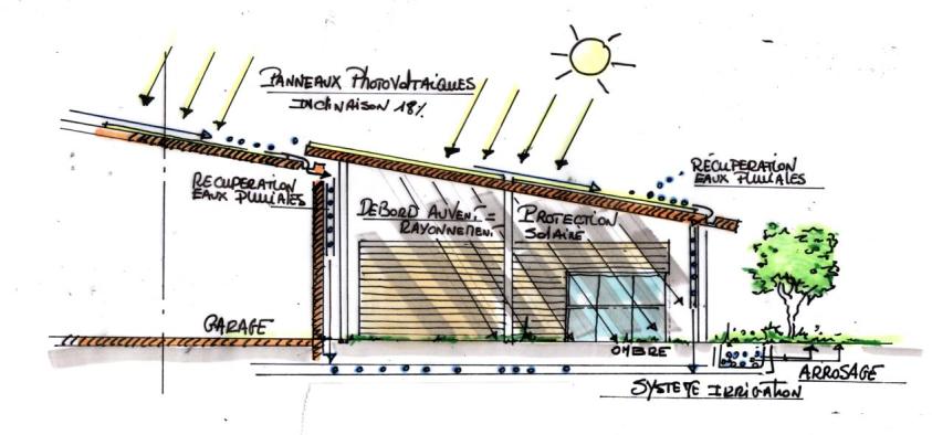 croquis_1_1.jpg