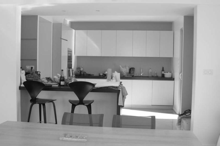 Vue sur la cuisine et bar