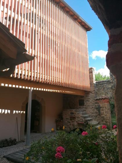 Magie du bois et de la lumière vue d'en bas