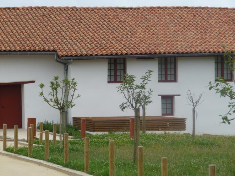 p1040005.jpg