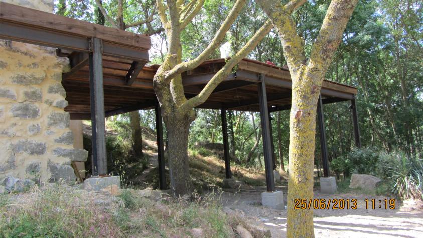 Intégration des arbres dans le plan de la terrasse
