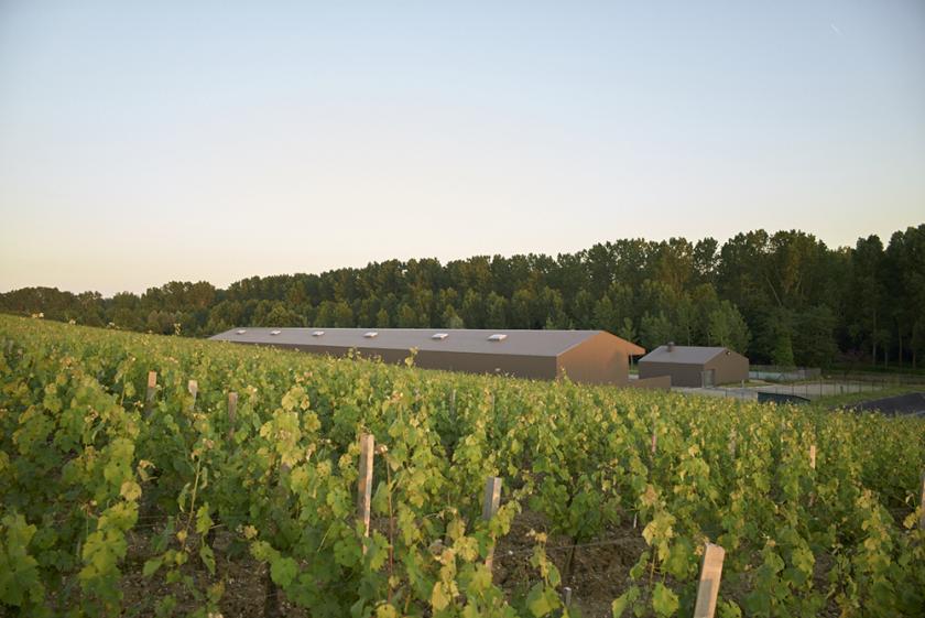 15_l1006475photos_cs.chalmeau_non_libre_de_droits.jpg