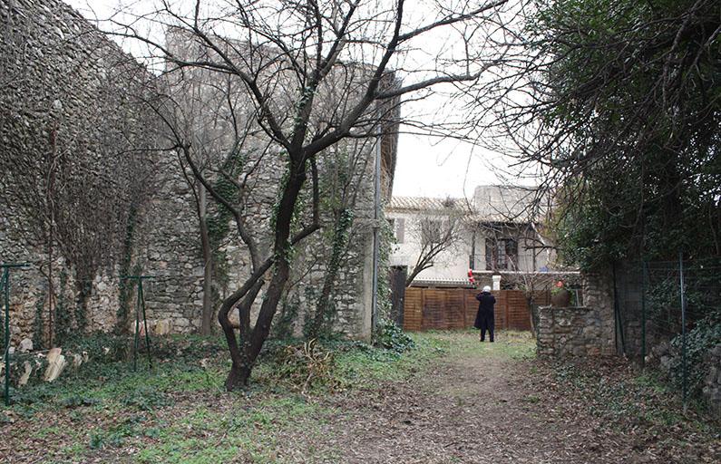 Jardin avant travaux