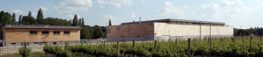 a_step_flec_2012-05-29_21.jpg