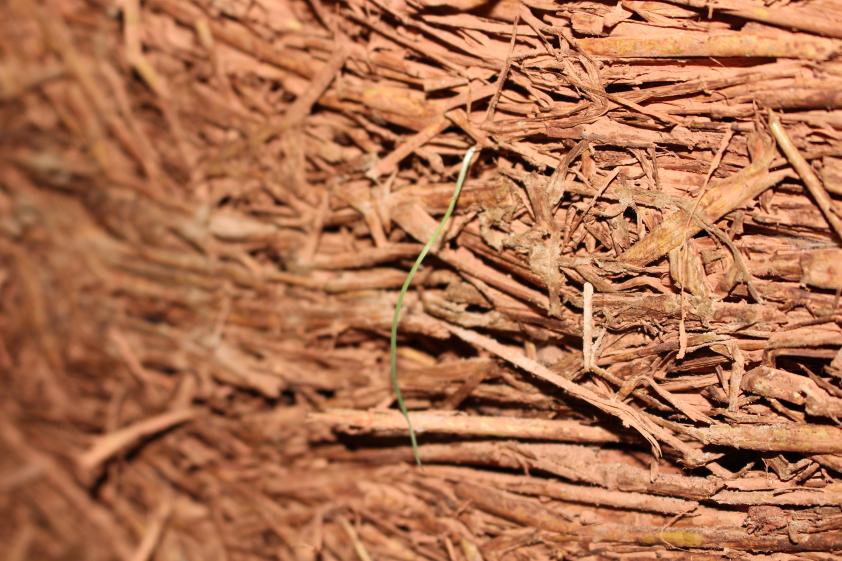 eco construction