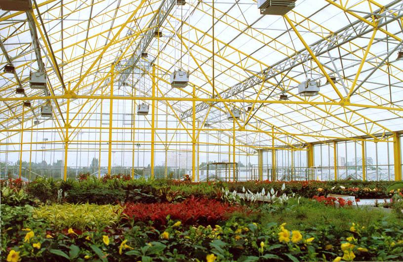 Halle Plantassistance - A l'étage, serre de stockage et de "remise en forme"