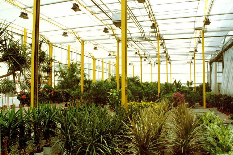 Halle Plantassistance - La serre chaude