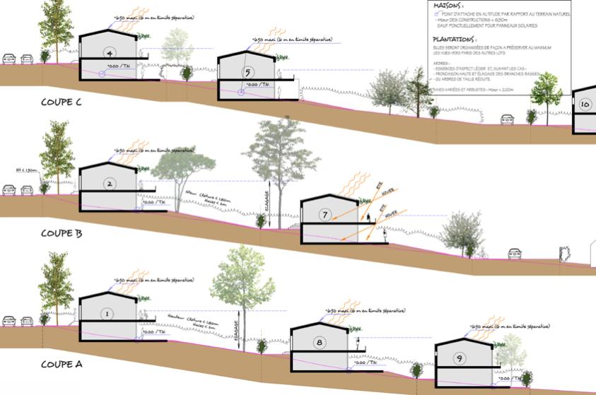 Lotissement de maisons bioclimatiques HQE - Coupe sur le terrain